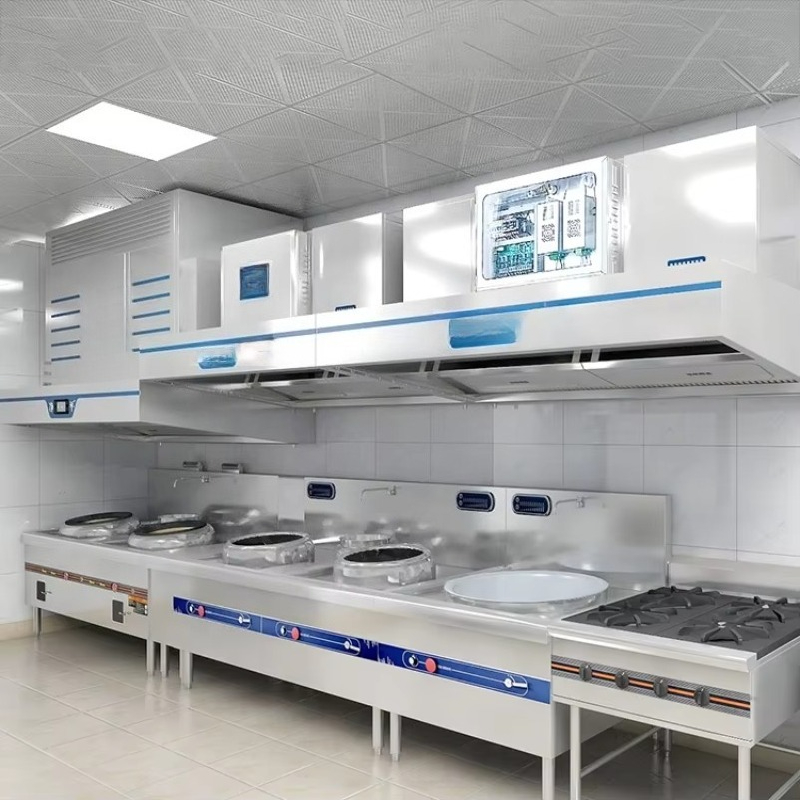 Campana extractora de humos de - Commercial Kitchen Hoods reseña y precio
